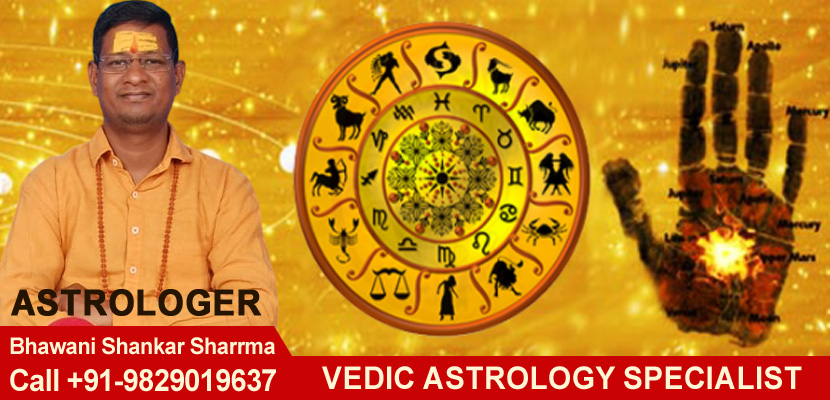 Vedic Astrology Specialist